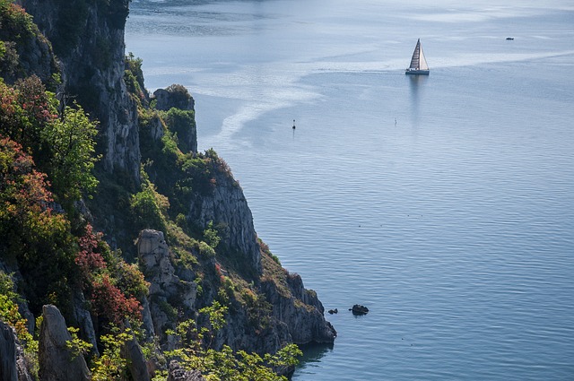 Bella vita: Oplev italien med din firbenede ven
